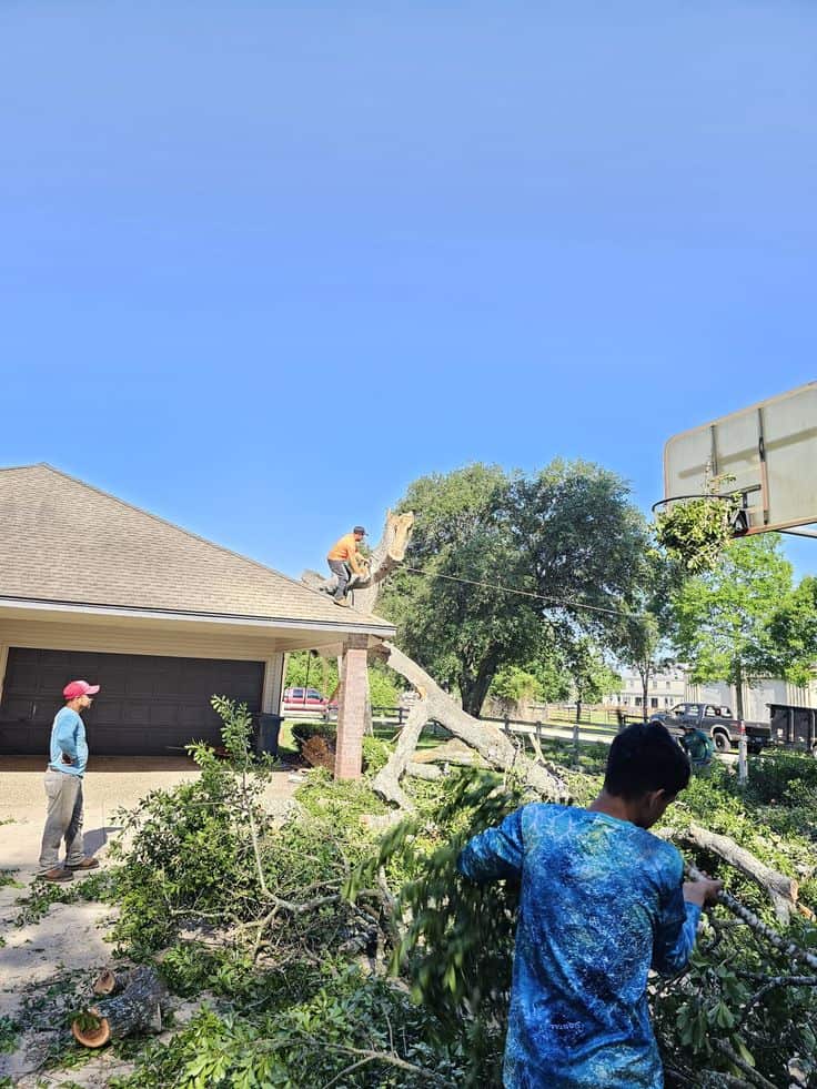 Tony's Tree Service crew on a Chicagoland project
