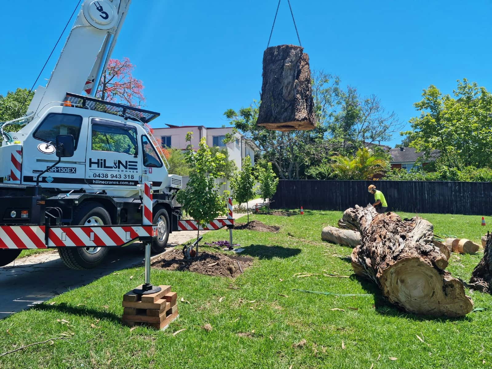 Tony's Tree Service completed work across Chicagoland